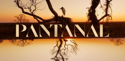 Novela Pantanal – Assistir capítulo de hoje online