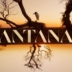 Pantanal pembe dizisi – Bugünkü bölümü çevrimiçi izleyin