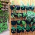 Plantvårdsapp – Ladda ner gratis app