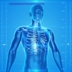3D-anatomie – Leer eenvoudig de menselijke anatomie
