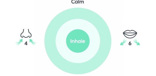 تطبيق التحكم اليومي في التنفس – كيفية التنزيل