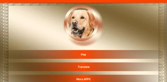Aplicativo adestrador e tradutor de cães – Como baixar