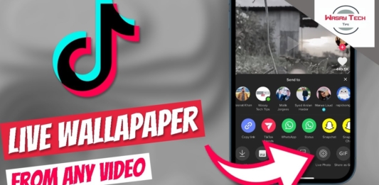 App to convert tik tok videos into wallpaper – How to download