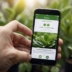 App die plantenziekten identificeert